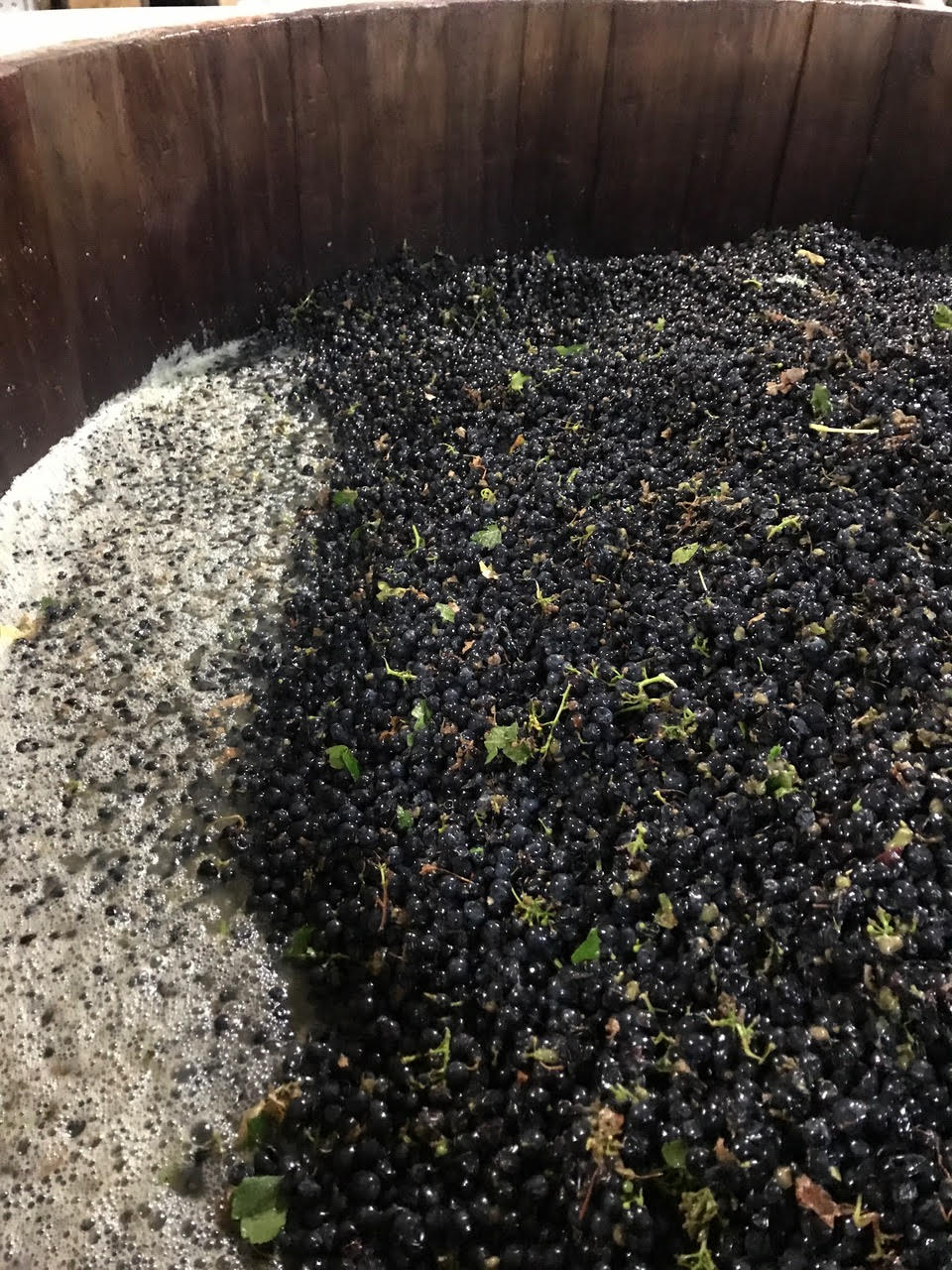 Sangiacomo Vineyard Merlot fermenting in a redwood fermenter.